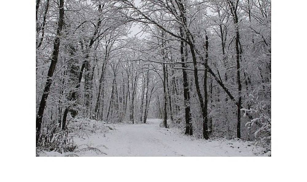 Ormanya'da kartpostallık kış manzaraları